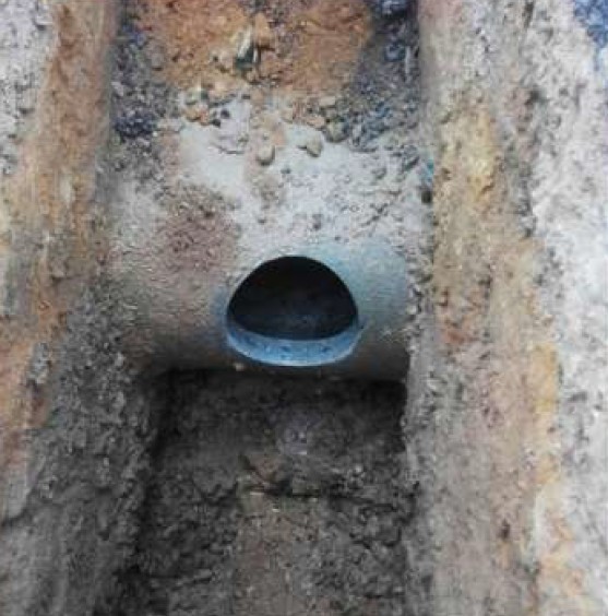 Captura de pantalla 2025-08-05 064329